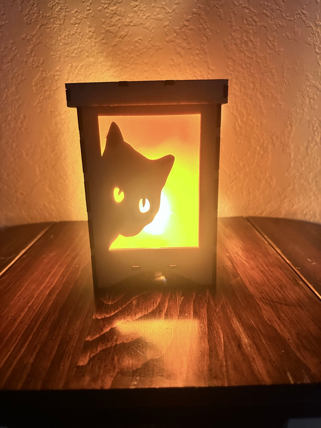 Lantern - Peeking Cat