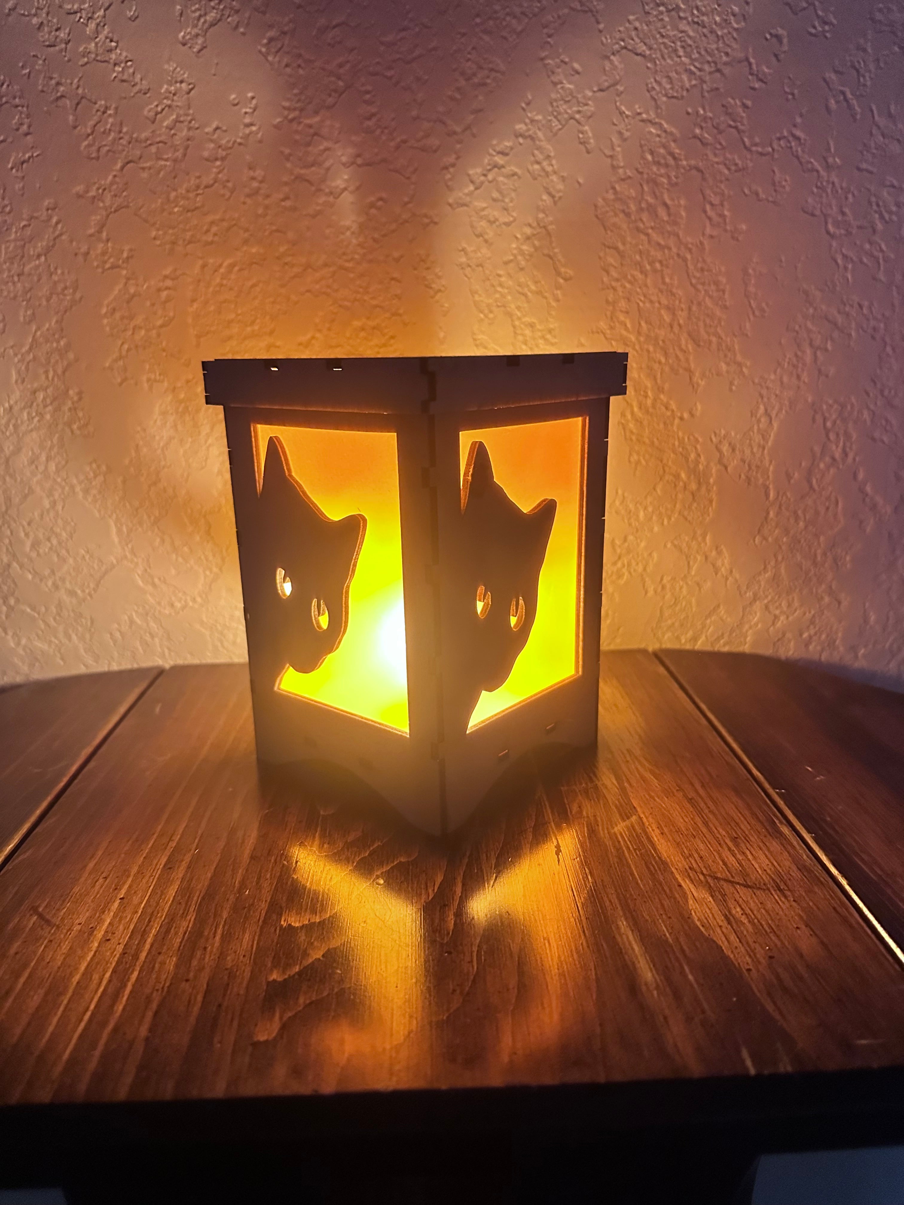 Lantern - Peeking Cat