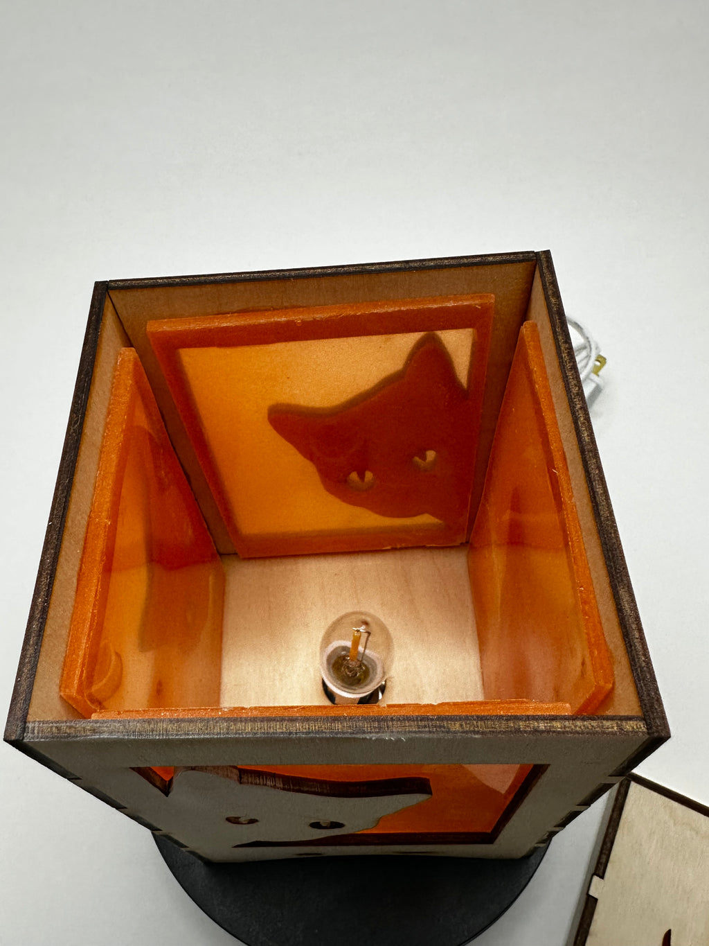 Lantern - Peeking Cat