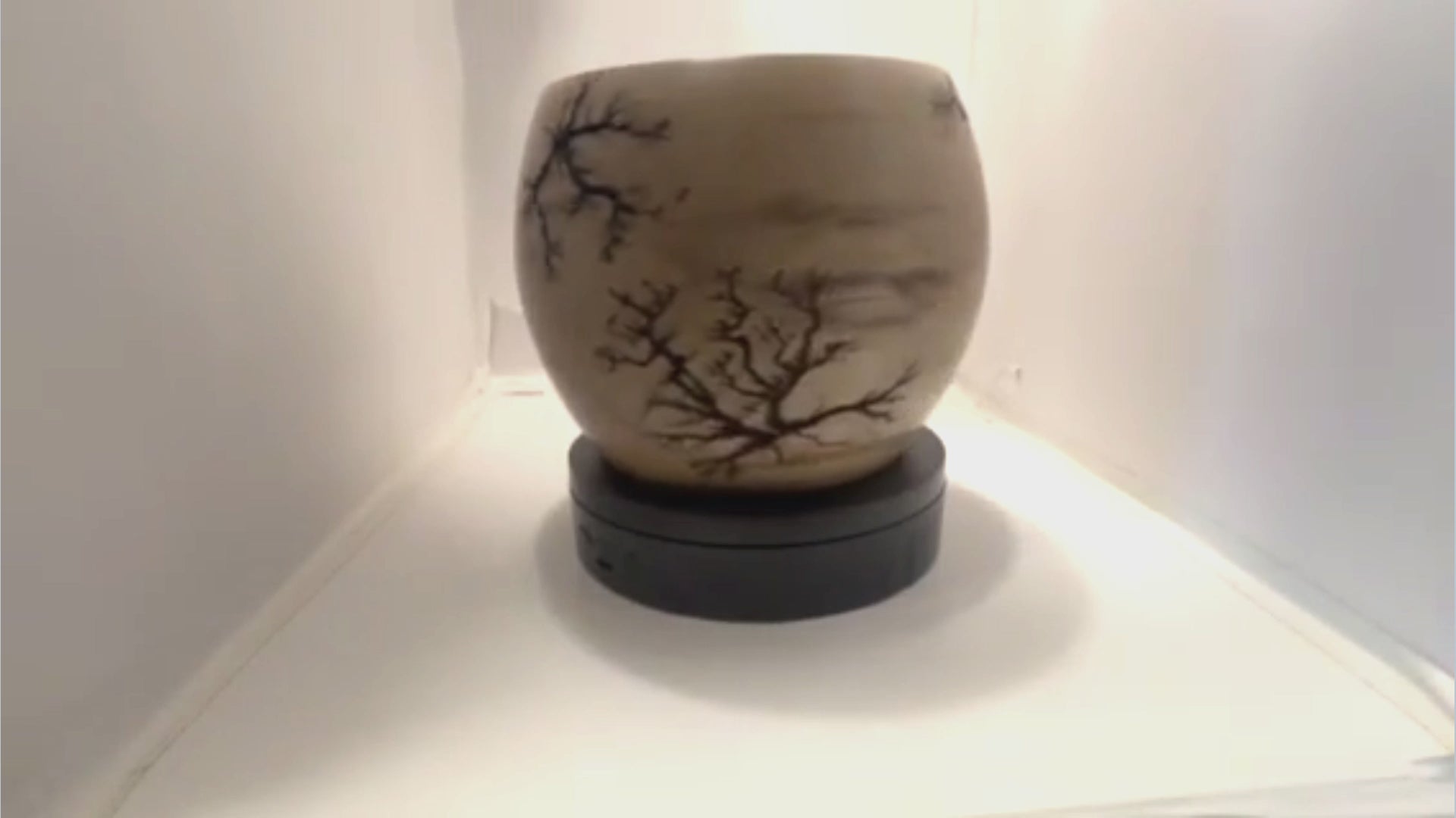 Bowl - Wooden Elm, Fractured