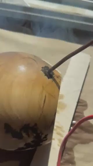 Bowl - Wooden Elm, Fractured